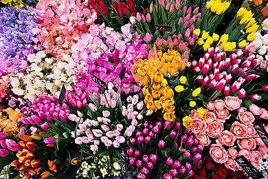 《The Finals》部分玩家遭遇“TFLA0004”代码错误 导致账号被误封